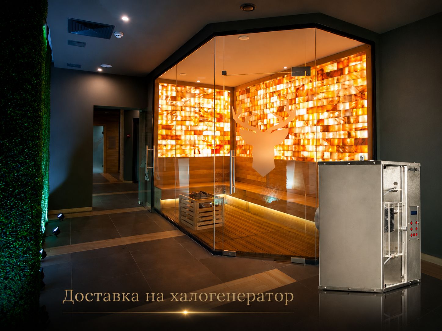 Солна стая в петзвезден хотел — изглед към шезлонги